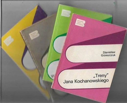 Bezpieczne zakupy Wiersze Bolesława Leśmiana (Biblioteka Analiz Literackich)