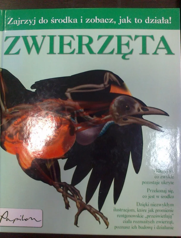 Zwierzęta Ekspresowa dostawa