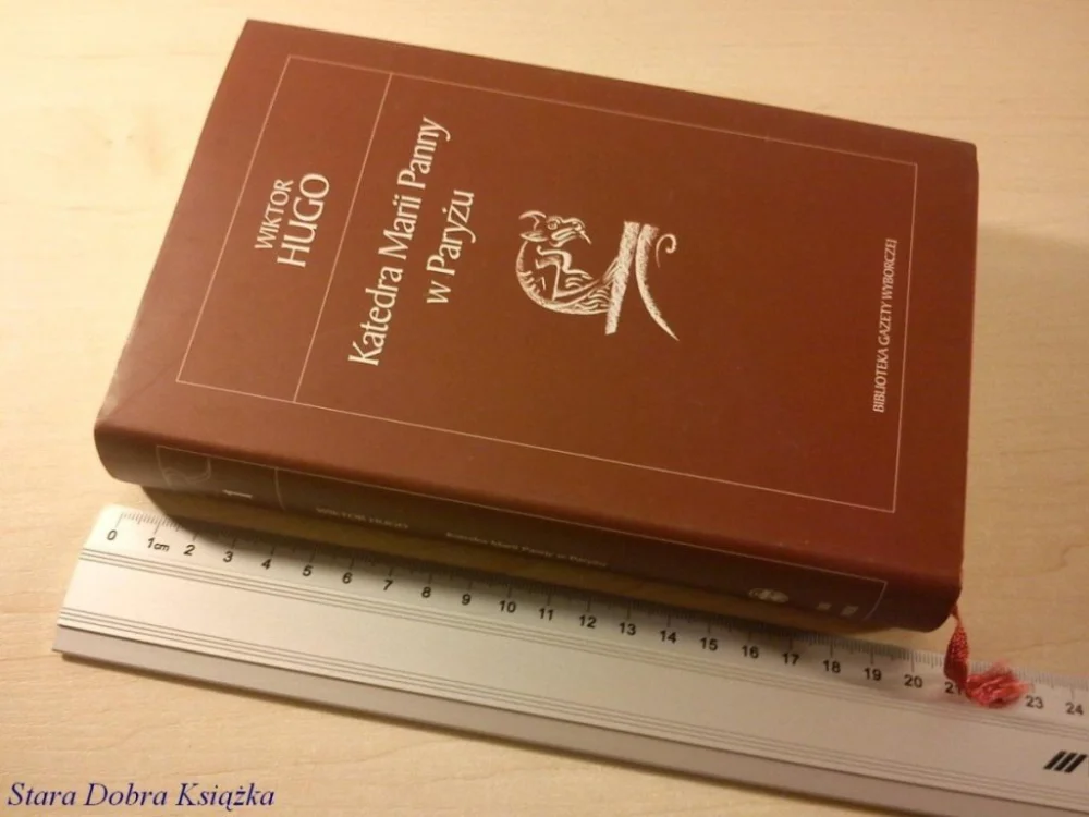 Szybka wysyłka KATEDRA MARII PANNY W PARYŻU - Wiktor Hugo (2005)