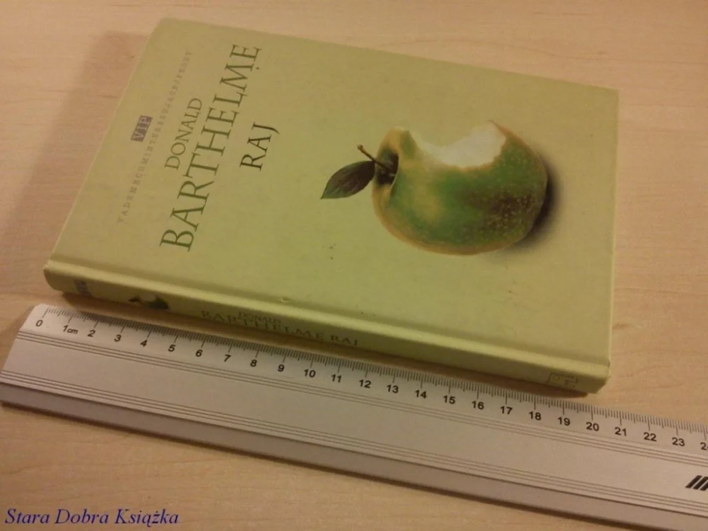 RAJ - Donald Barthelme (2001) Ekspresowa dostawa