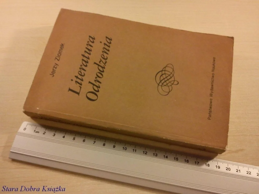 LITERATURA ODRODZENIA - Jerzy Ziomek (1987) Niska cena