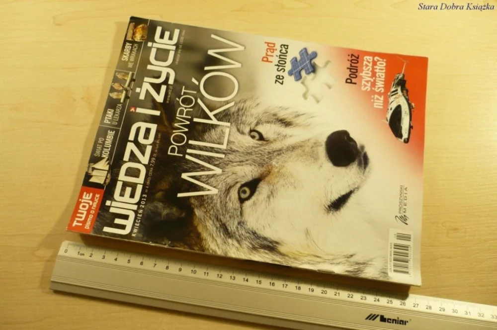 WIEDZA I ŻYCIE KWIECIEŃ 2013 NR.4 POWRÓT WILKÓW Popularny