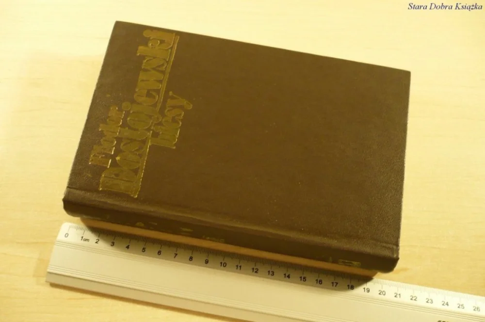 Bezpieczne zakupy BIESY - Fiodor Dostojewski (Wydanie III 1977)