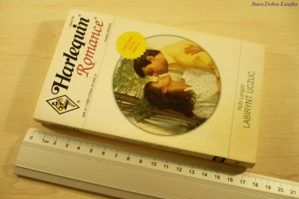 LABIRYNT UCZUĆ - Ruth Langan (1994) Tani