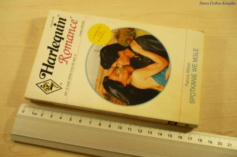 SPOTKANIE WE MGLE - Patricia Wilson (1995) Bestseller