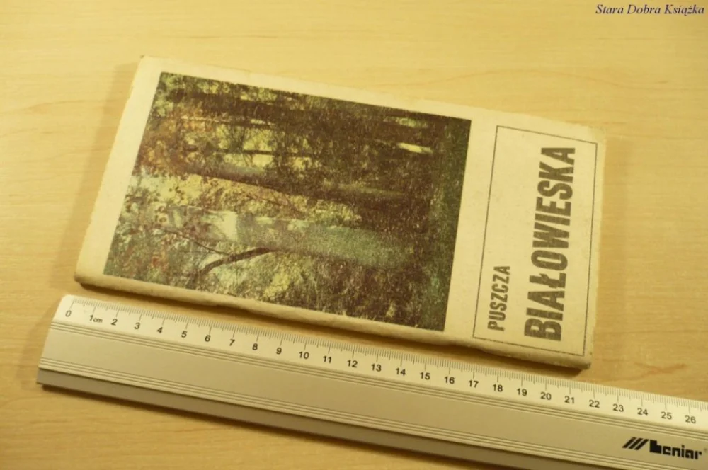 PUSZCZA BIAŁOWIESKA - Czesław Okołów (1981) Sprawdź teraz