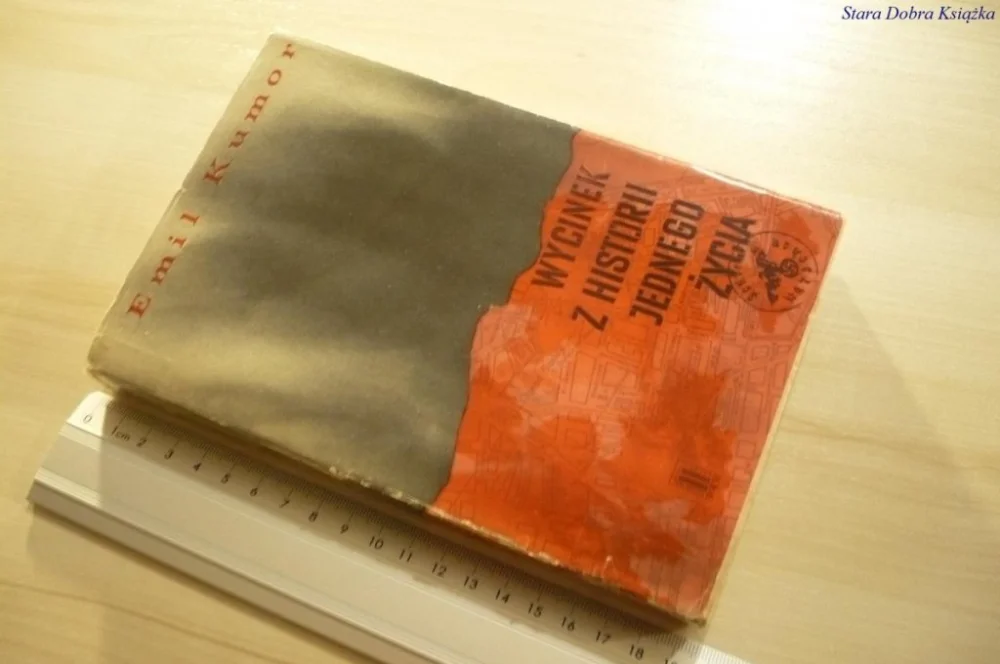Bestseller WYCINEK Z HISTORII JEDNEGO ŻYCIA - Kumor (1967)