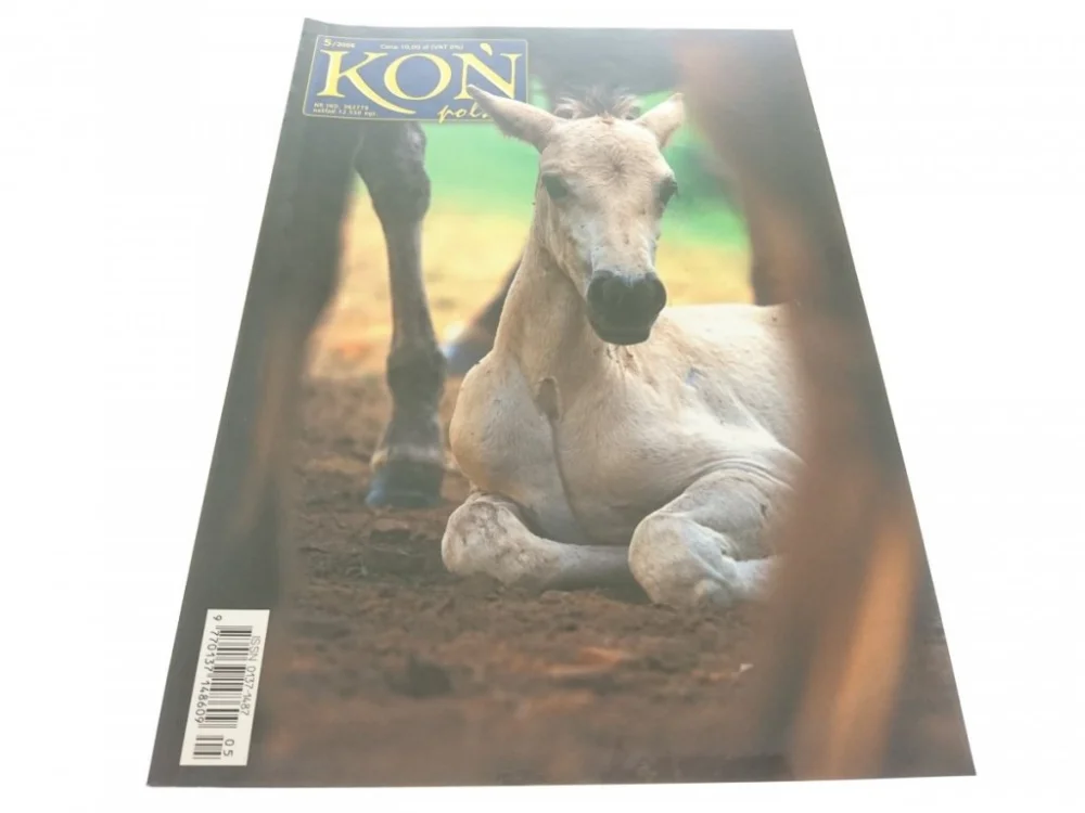 KOŃ POLSKI 5/2006 Okazja