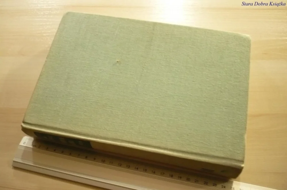 Hit cenowy HISTORIA POLSKI 1795-1918 - Kieniewicz (1969)