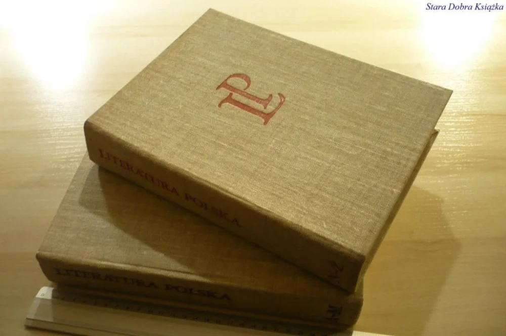 Super okazja LITERATURA POLSKA. PRZEWODNIK ENCYKLOPEDYCZNY A-Z