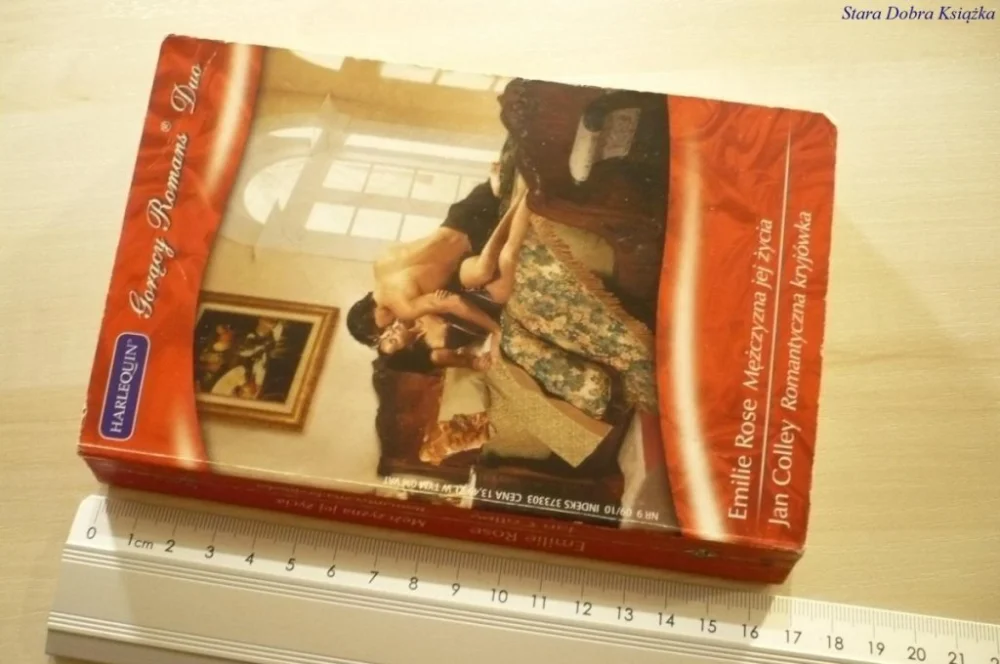 Hit cenowy MĘŻCZYZNA JEJ ŻYCIA; ROMANTYCZNA KRYJÓWKA (2010)