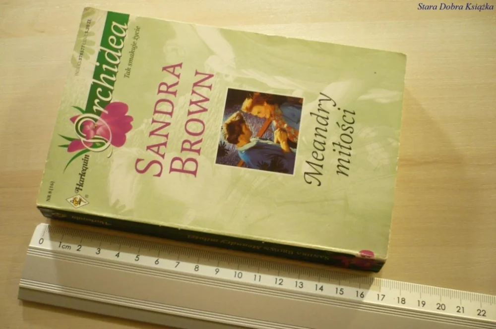 MEANDRY MIŁOŚCI - Sandra Brown (1999) Dostępne od ręki