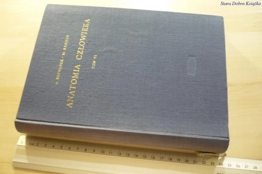 Wysoka jakość ANATOMIA CZŁOWIEKA TOM VI - A. Bochenek (1963)