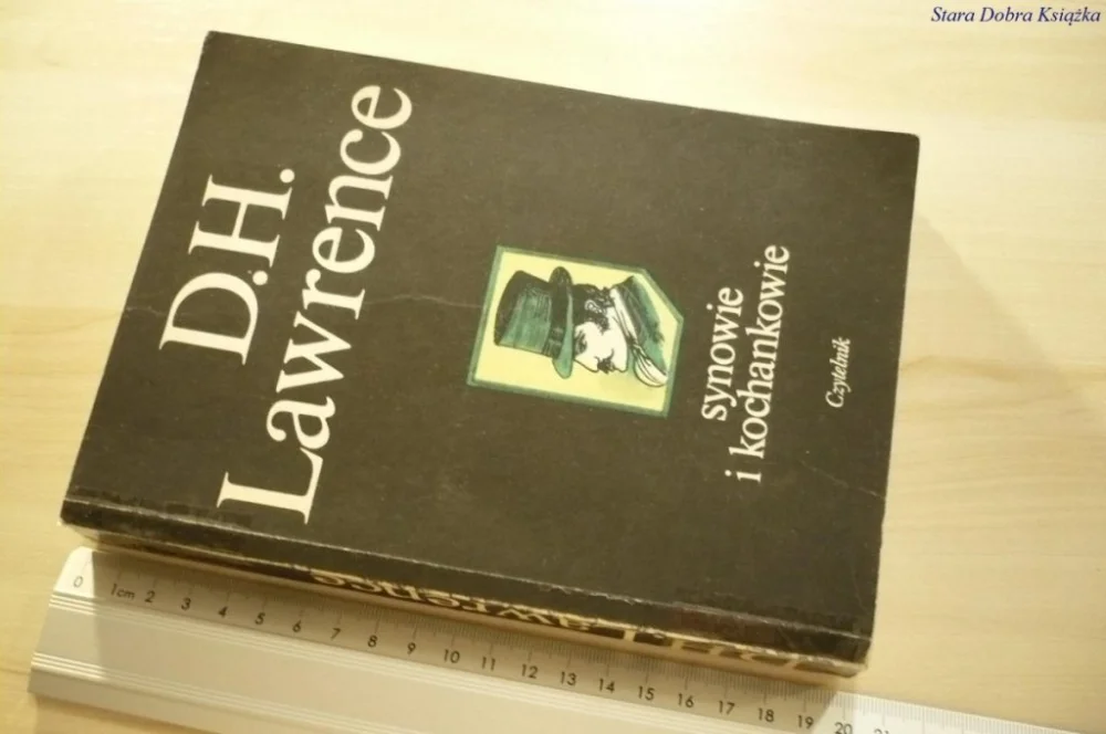 Ekspresowa dostawa SYNOWIE I KOCHANKOWIE - D. H. Lawrence (1987)
