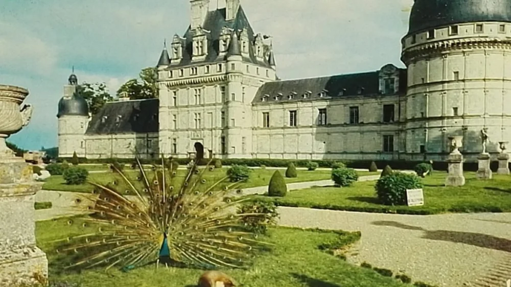 Bestseller LES MERVEILLES DU VAL DE LOIRE VALENCAY