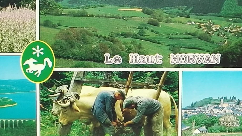 Nowość LE HAUT MORVAN