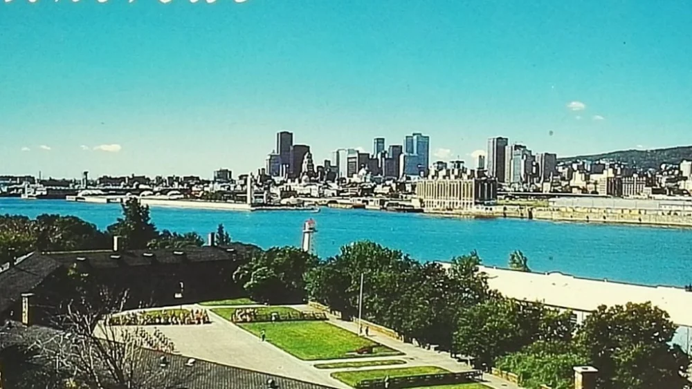 Ostatnia szansa MONTREAL