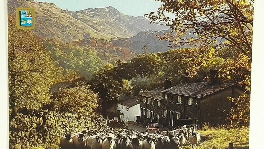 DRIVING SHEEP, SEATOLLER, BORROWDALE Popularny