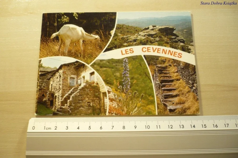 Szybka wysyłka MASSIF DES CEVENNES