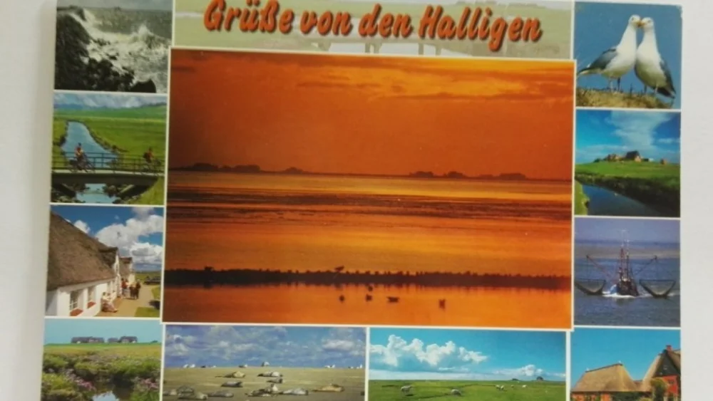GRUSSE VON DEN HALLIGEN Promocja
