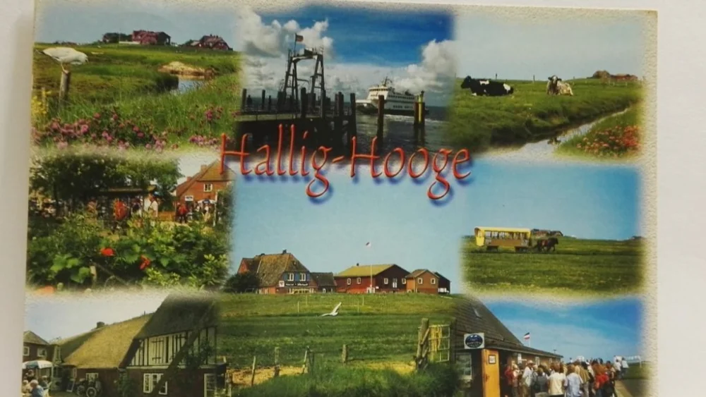HALLIG HOOGE Wysoka jakość