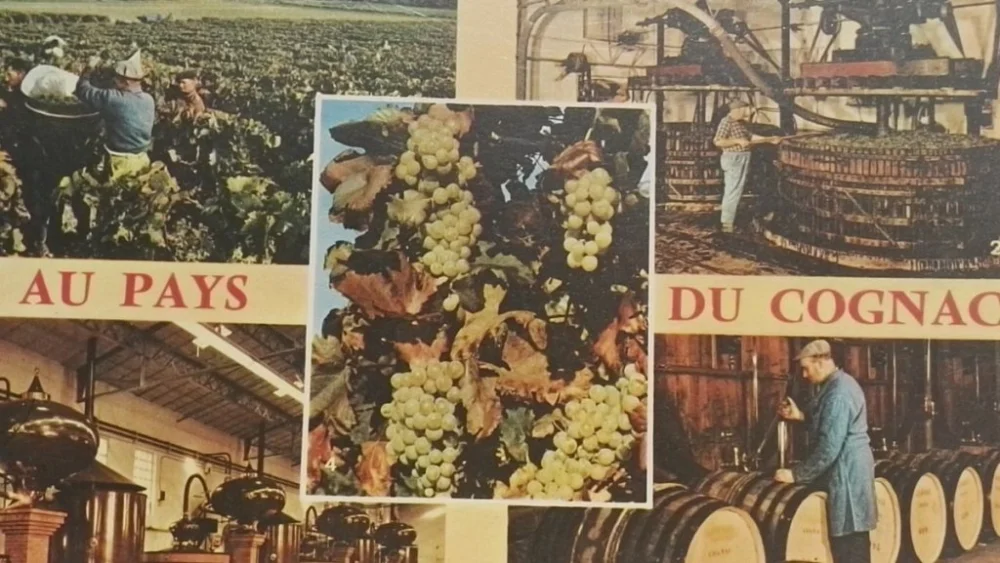 AU PAYS DU COGNAC Oferta limitowana