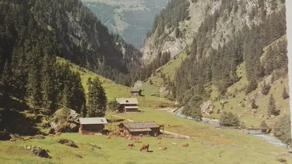 Premium GASTHAUS LACKNERBRUNN (1040 m)