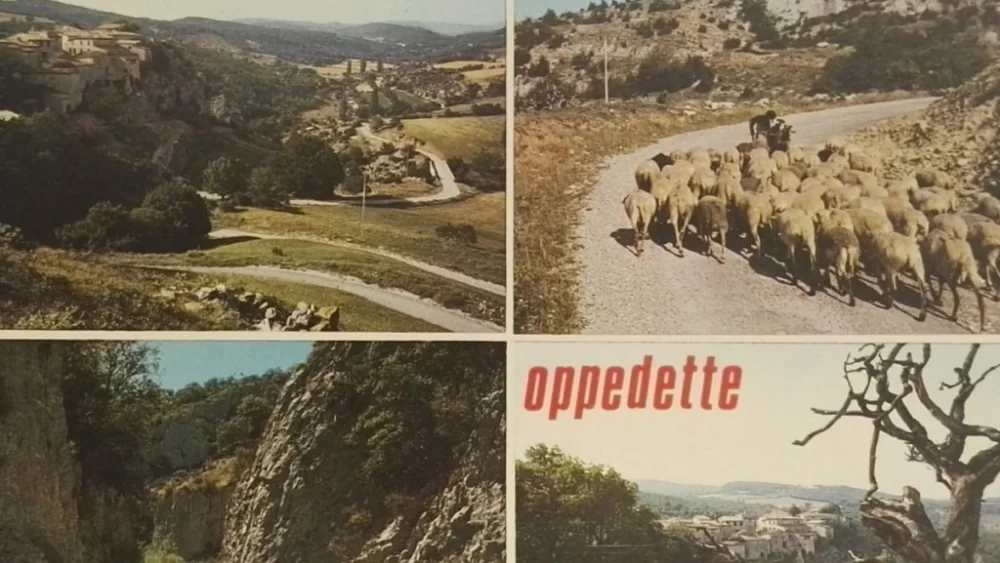 OPPEDETTE Super okazja
