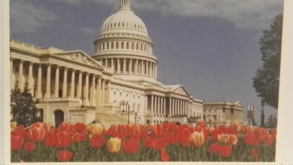 THE UNITED STATES CAPITOL Szybka dostawa