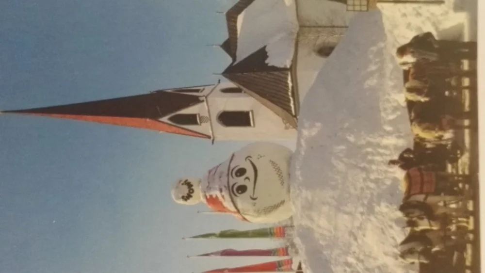 SNOWI. NORDISCHE SCHI-WM Bestseller
