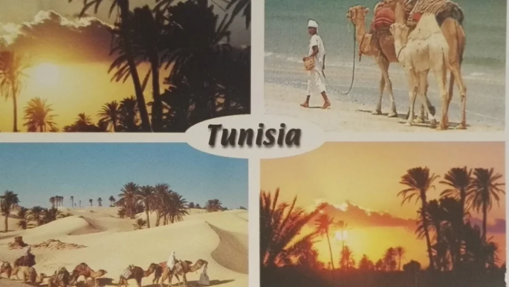 Kup online TUNISIA