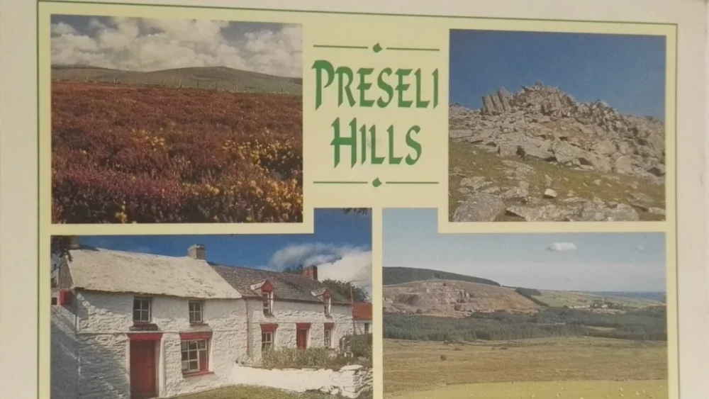 Ekspresowa dostawa PRESELI HILLS