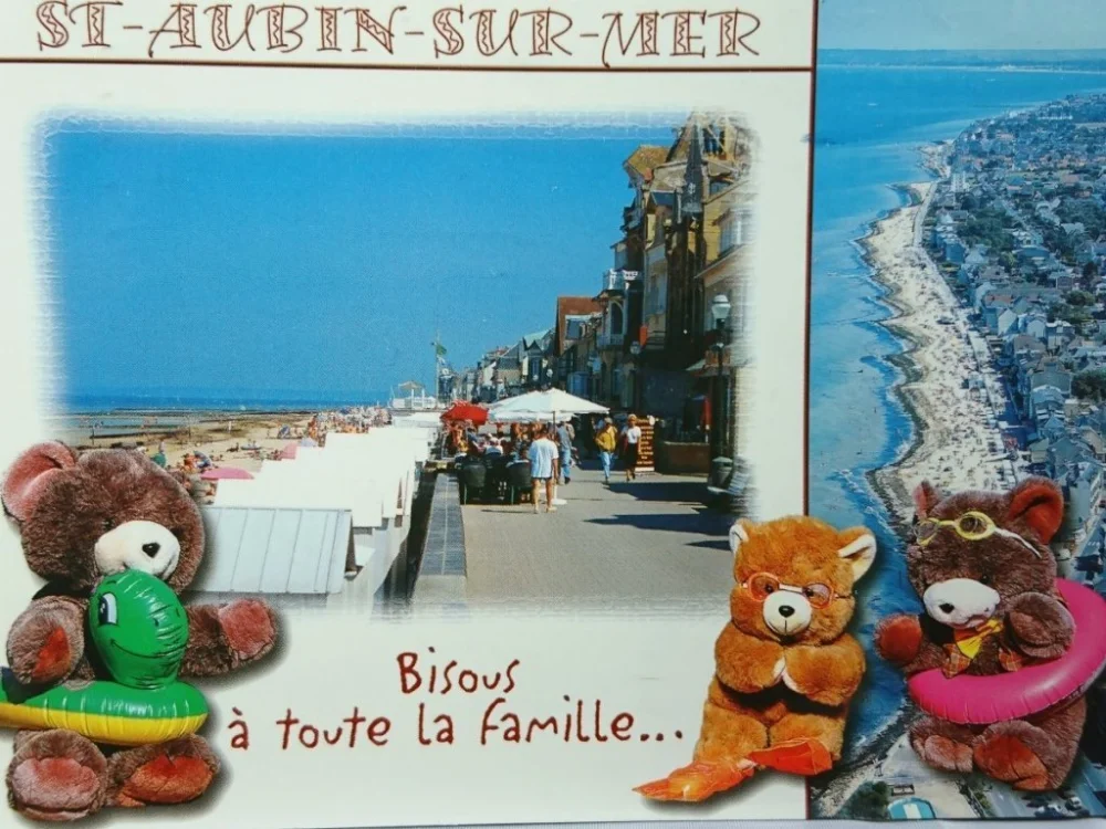 ST-AUBIN-SUR-MER Tani