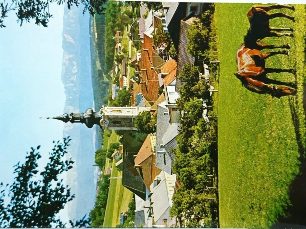 Dodaj do koszyka DAS REITERDORF IM HAUSRUCKWALD