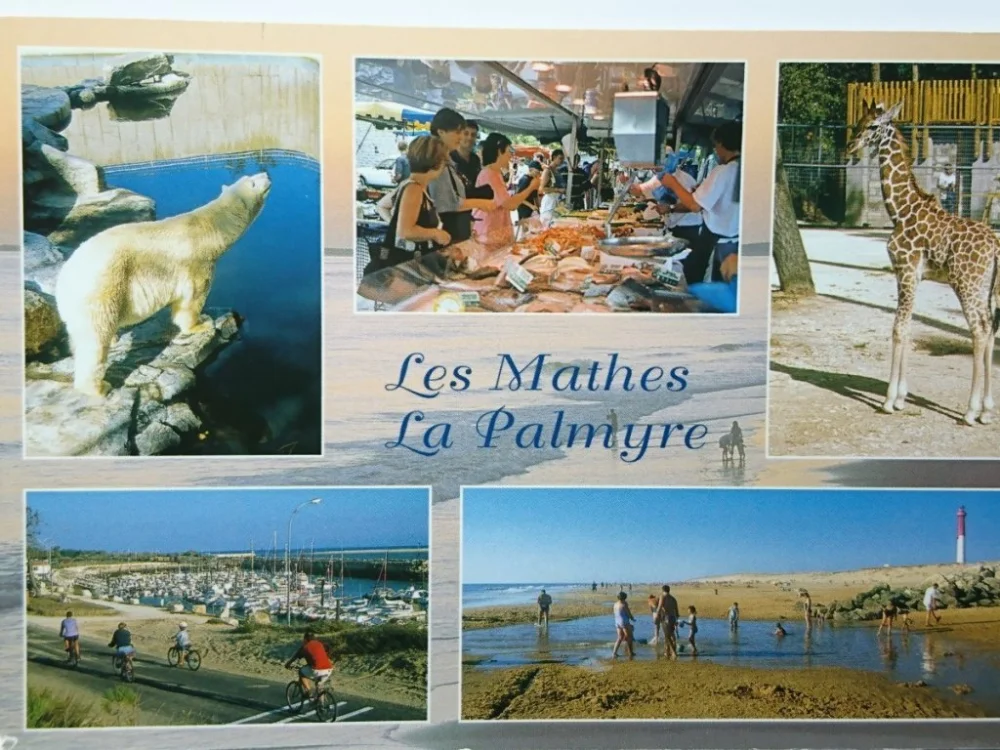 LES MATHES LA PALMYRE Ostatnie sztuki