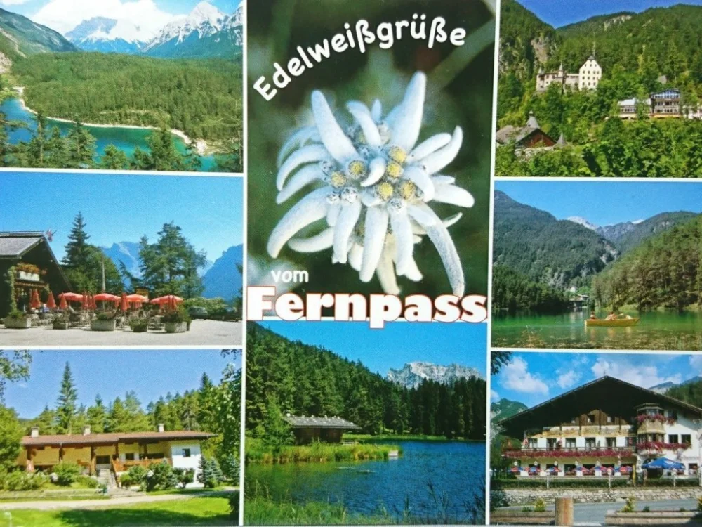 EDEKWEISSGRUSSE VOM FERNPASS Popularny