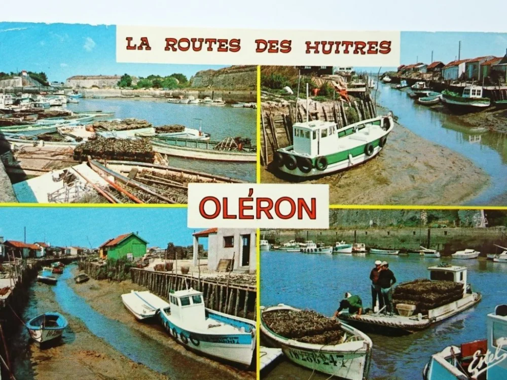 Wyprzedaż OLERON. LA ROUTES DES HUITRES