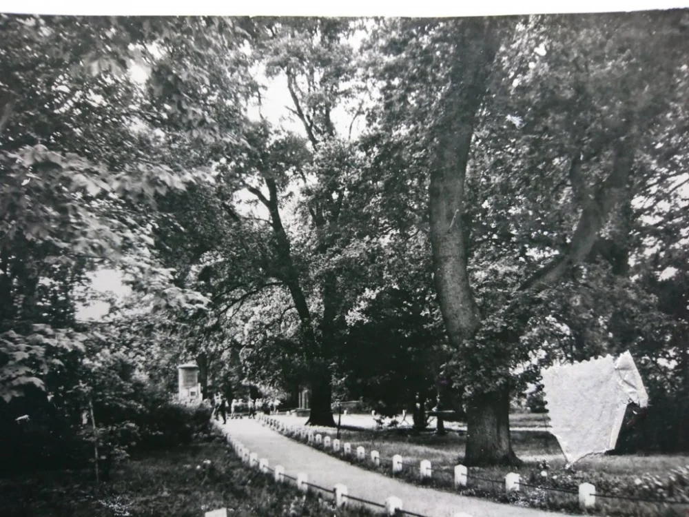 KAMIEŃ POMORSKI. PARK FOT. J. KORPAL Wyprzedaż