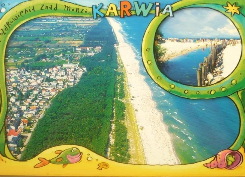 Darmowy zwrot KARWIA FOT. Z. GRABOWIECKI, PD