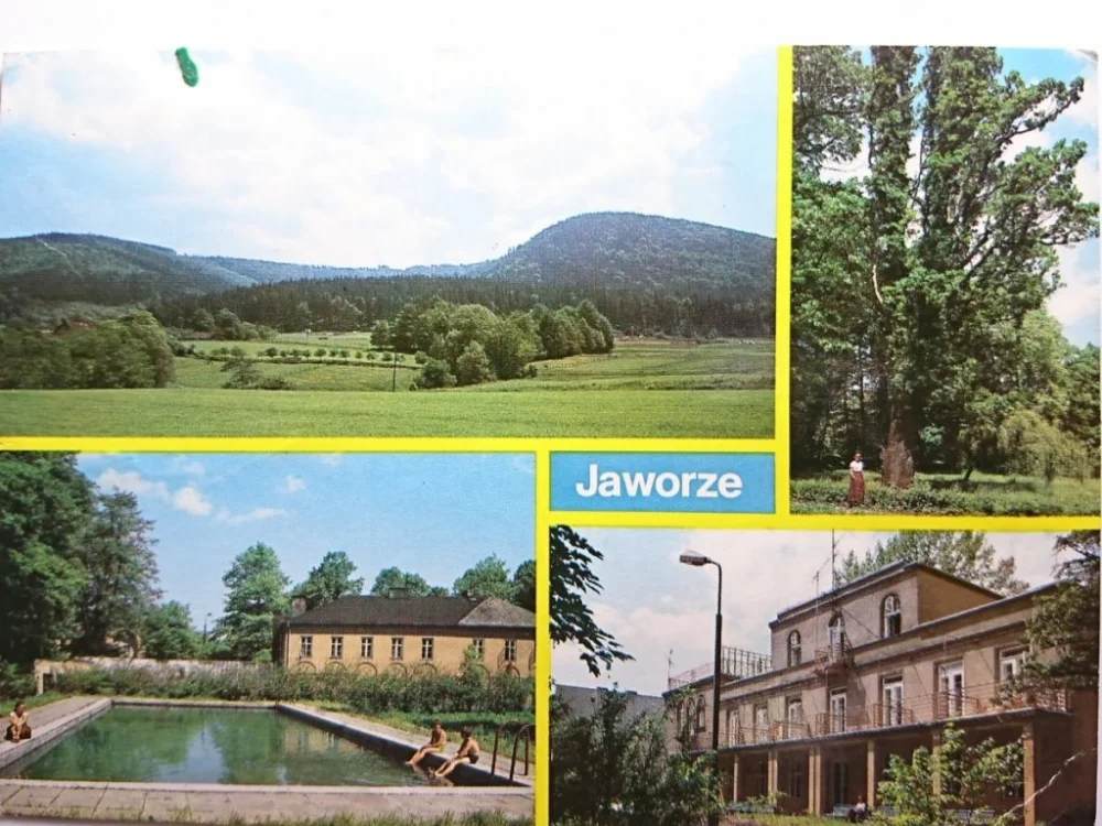 Wyprzedaż JAWORZE. CZTERY WIDOKI
