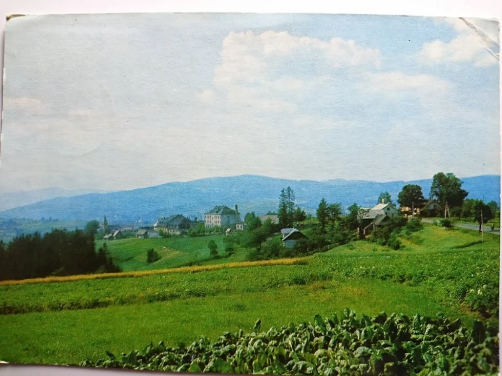 Okazja KONIAKÓW FOT. M. RACZKOWSKI