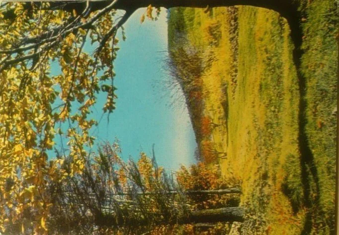 GÓRY ŚWIĘTOKRZYSKIE. WIDOK NA ŁYSĄ...FOT. BILIŃSKI Zamów dziś