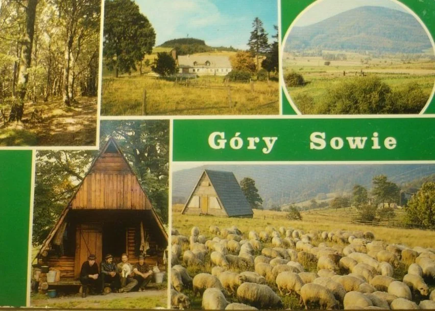 Sprawdź teraz GÓRY SOWIE. PASMO GÓRSKIE... FOT. L. SUROWIEC