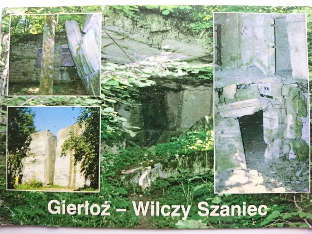 GIERŁOŻ - WILCZY SZANIEC FOT. W. SERAFIŃSKI Ostatnie sztuki