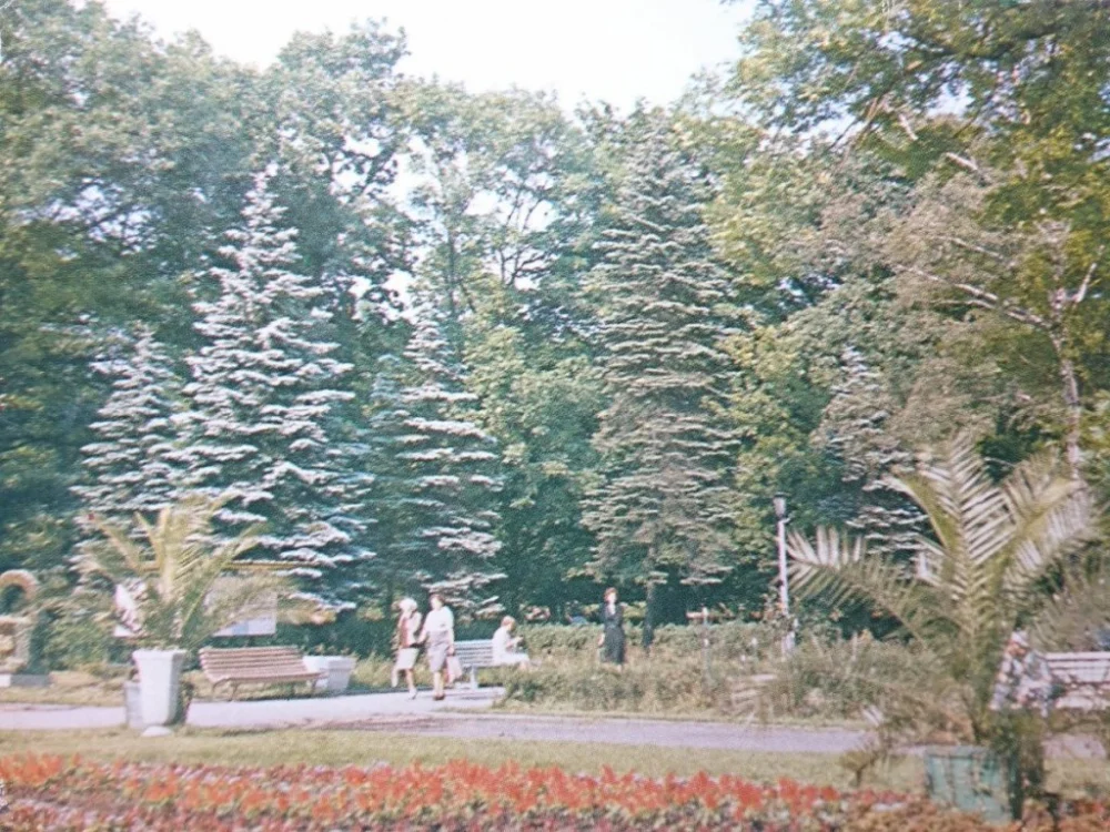 INOWROCŁAW. PARK ZDROJOWY FOT. W. ŻYŁA Kup online