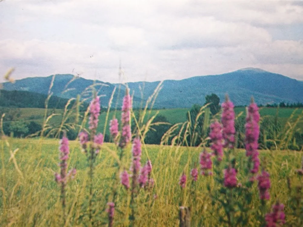 Najlepsza cena BIESZCZADY. WIDOK Z PRZYSŁUPIA... FOT. WIDERYŃSKI