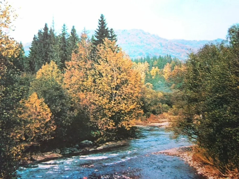 BIESZCZADY. WETLINA W OKOLICACH... FOT. RACZKOWSKI Ekspresowa dostawa