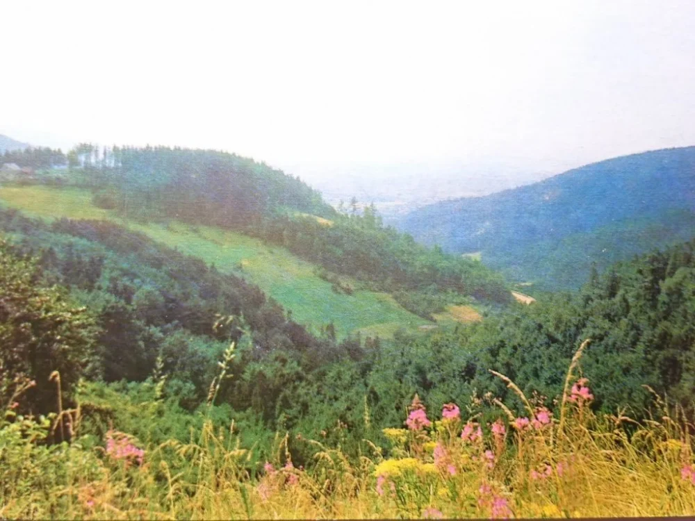 BESKID ŚLĄSKI. WIDOK Z PRZEŁĘCZY FOT. RACZKOWSKI Promocja
