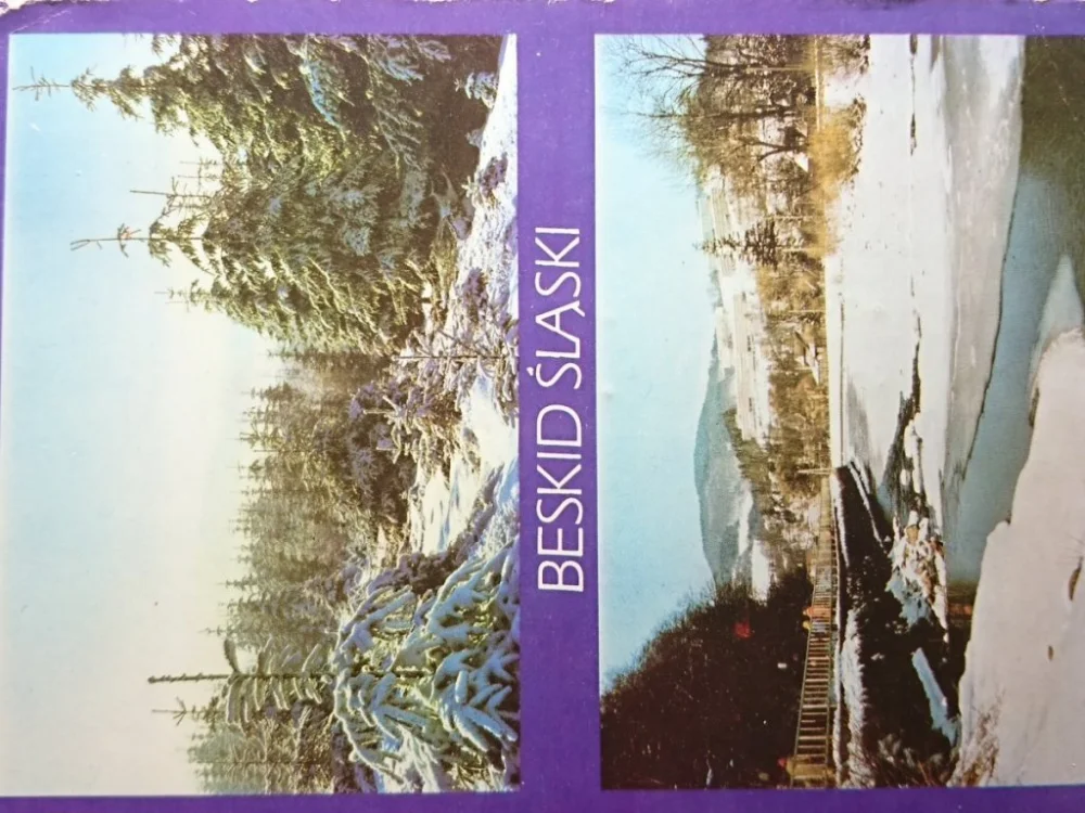 Super okazja BESKID ŚLĄSKI. ŚWIERKI W SZACIE ZIMOWEJ FOT GRZĘDA