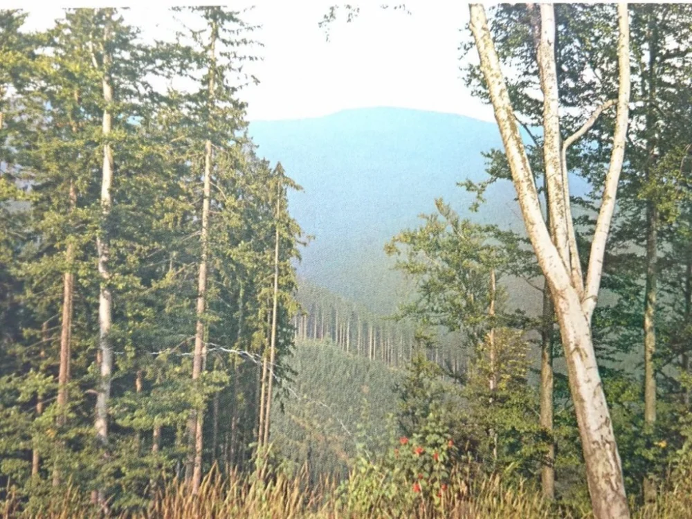 Zamów dziś BESKID ŻYWIECKI. KRAJOBRAZ FOT. K. SEKO